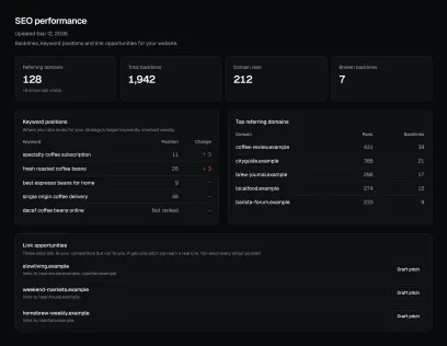 SEO performance: backlinks, keyword positions and link opportunities