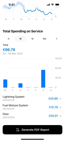 Spending on service by period, with a PDF report