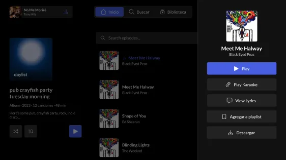 Track options: play, karaoke, lyrics, add to playlist, download