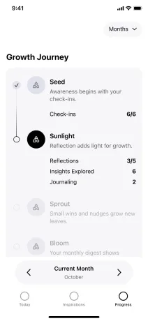 Wireframe: growth journey